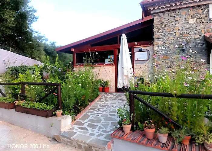 B&B Relais Da Clorinda Ascea